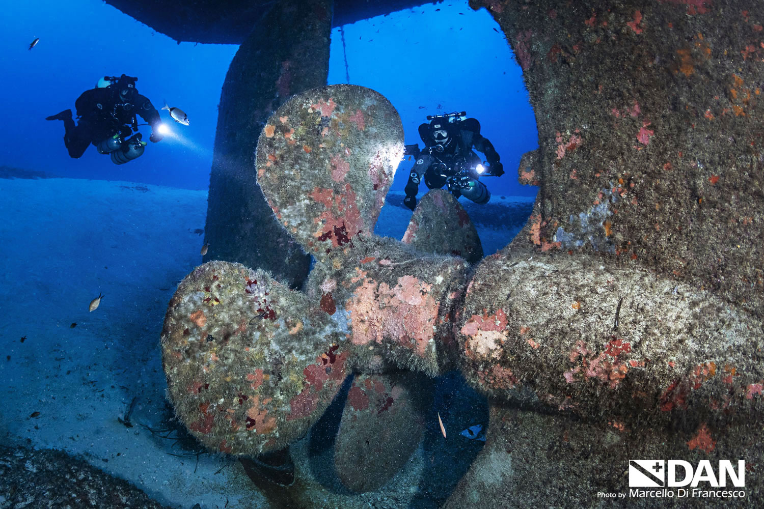 Um El Faroud — Dive 2: Stern Propeller